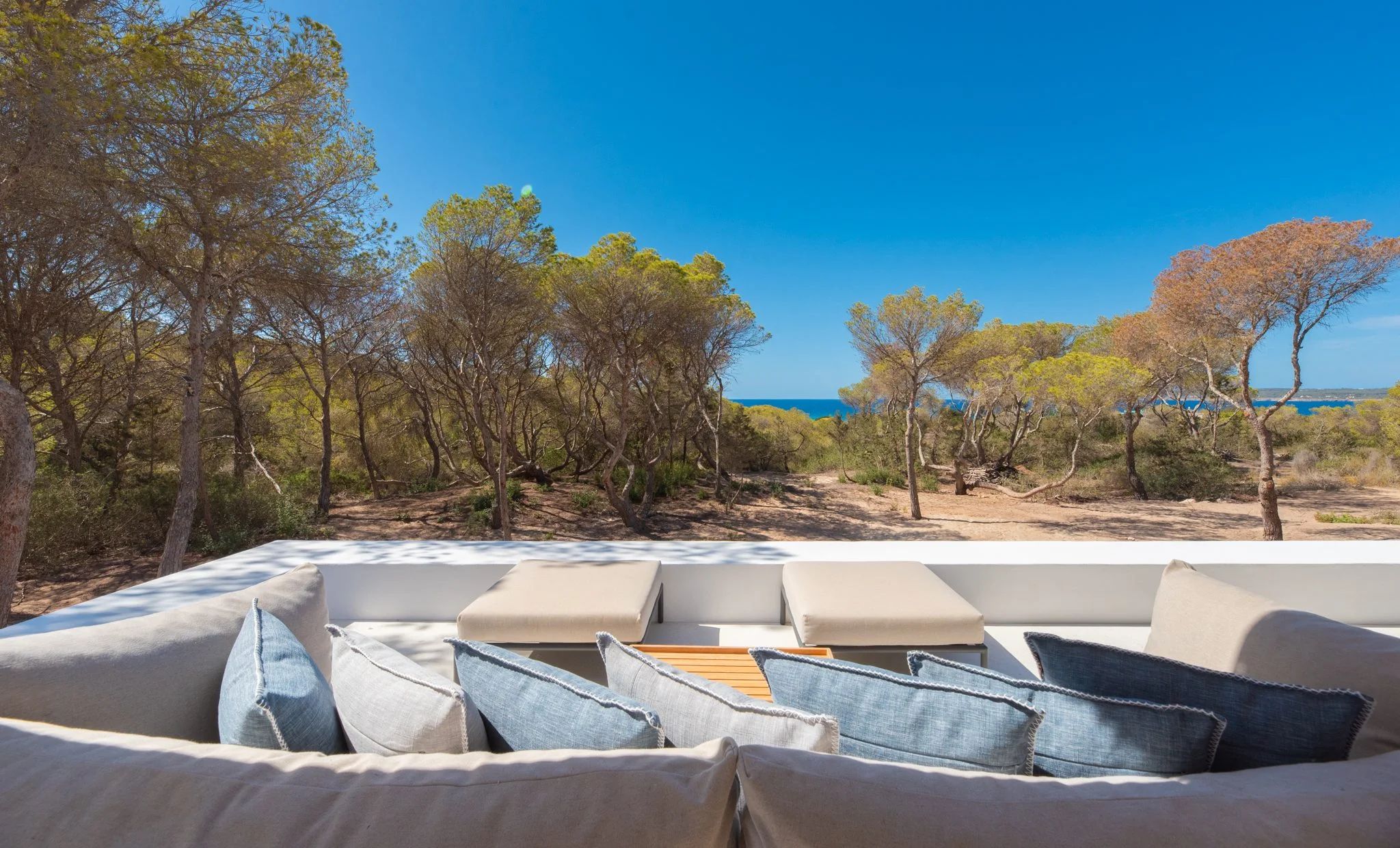 Can Mitjorn Formentera terrace view