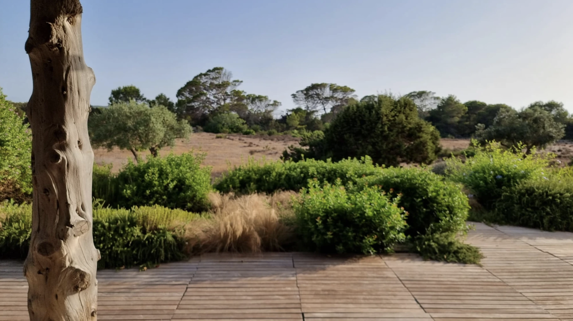 Casa Alhambra nature view